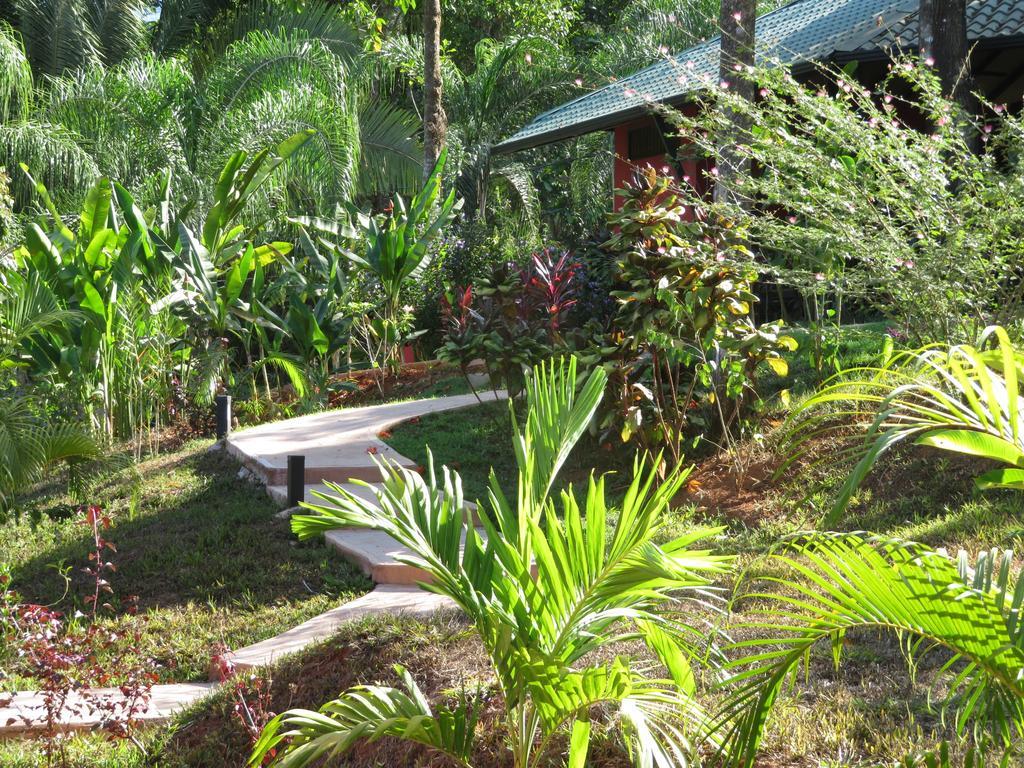 Oasis De Las Palmas Ojochal Extérieur photo
